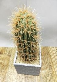 Cactus decorativo 26 cm