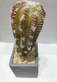 Cactus decorativo 20cms alto x 8cms x 8cms