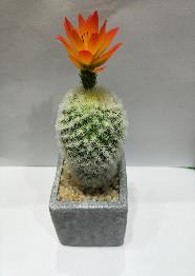 Cactus decorativo 21 cm