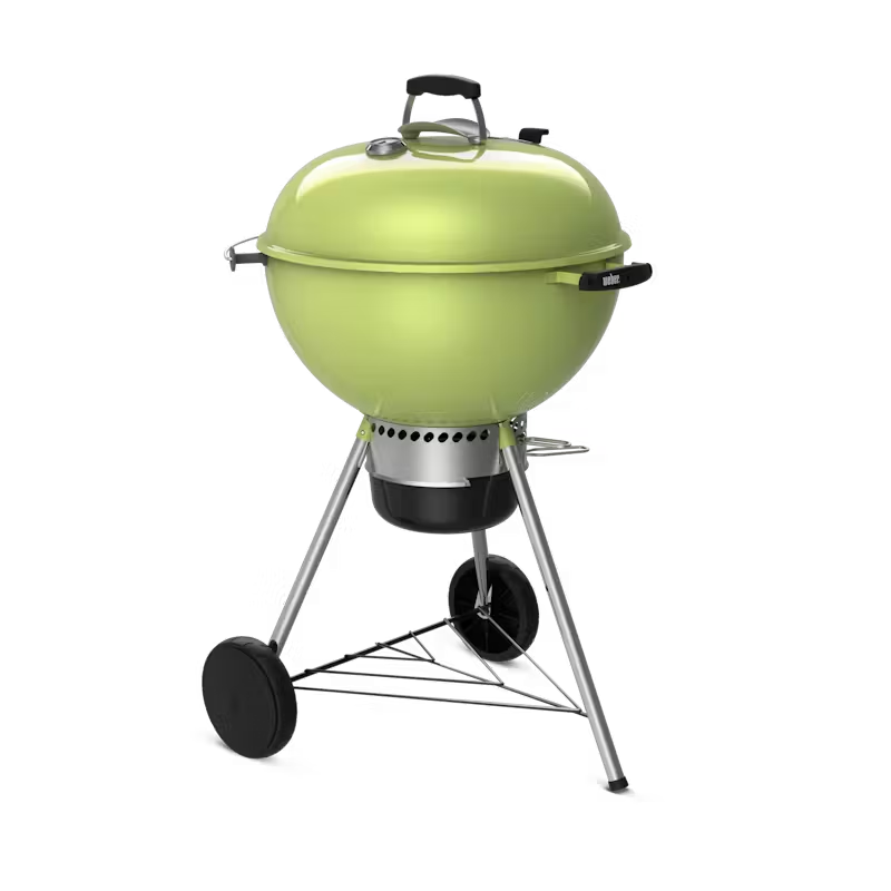 PARRILLA CARBON MASTER TOUCH 22" VERDE WEB14511601
