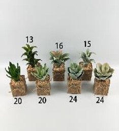 [WYUFMD-13] Planta decorativa pequeña 20 cm