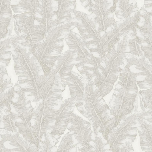 TAPIZ 1507-1 VERA 15 MTS WAL1507-1