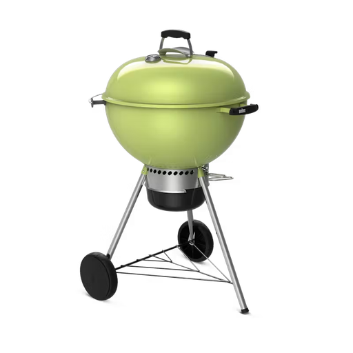PARRILLA CARBON MASTER TOUCH 22 PUL VERDE WEB14511601