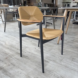 [BL7432] SILLA COMEDOR 2025 CON BRAZOS J5AAC2025N04RAT